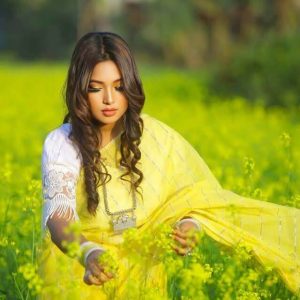 Chumki Saree - Half Silk CS0013